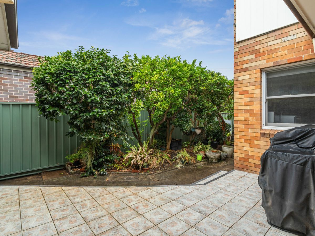 2 Birnam Grove, STRATHFIELD, Strathfield - Thumbnail 4