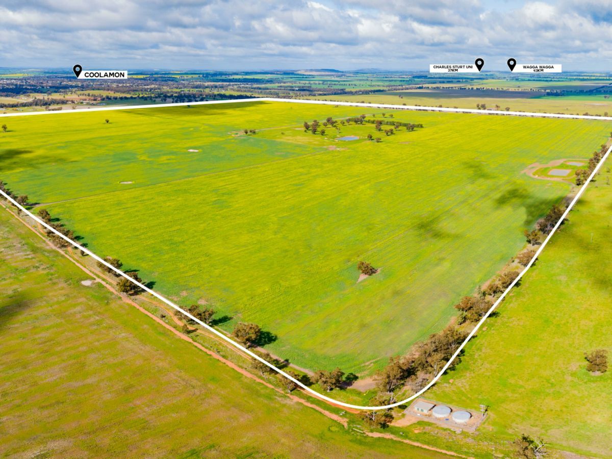 Lonsdale Lane, COOLAMON, Coolamon - Thumbnail 3