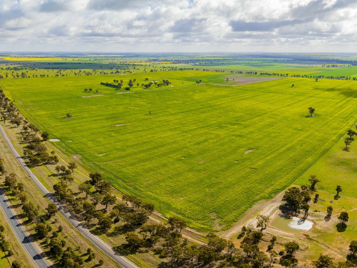 Lonsdale Lane, COOLAMON, Coolamon - Thumbnail 7