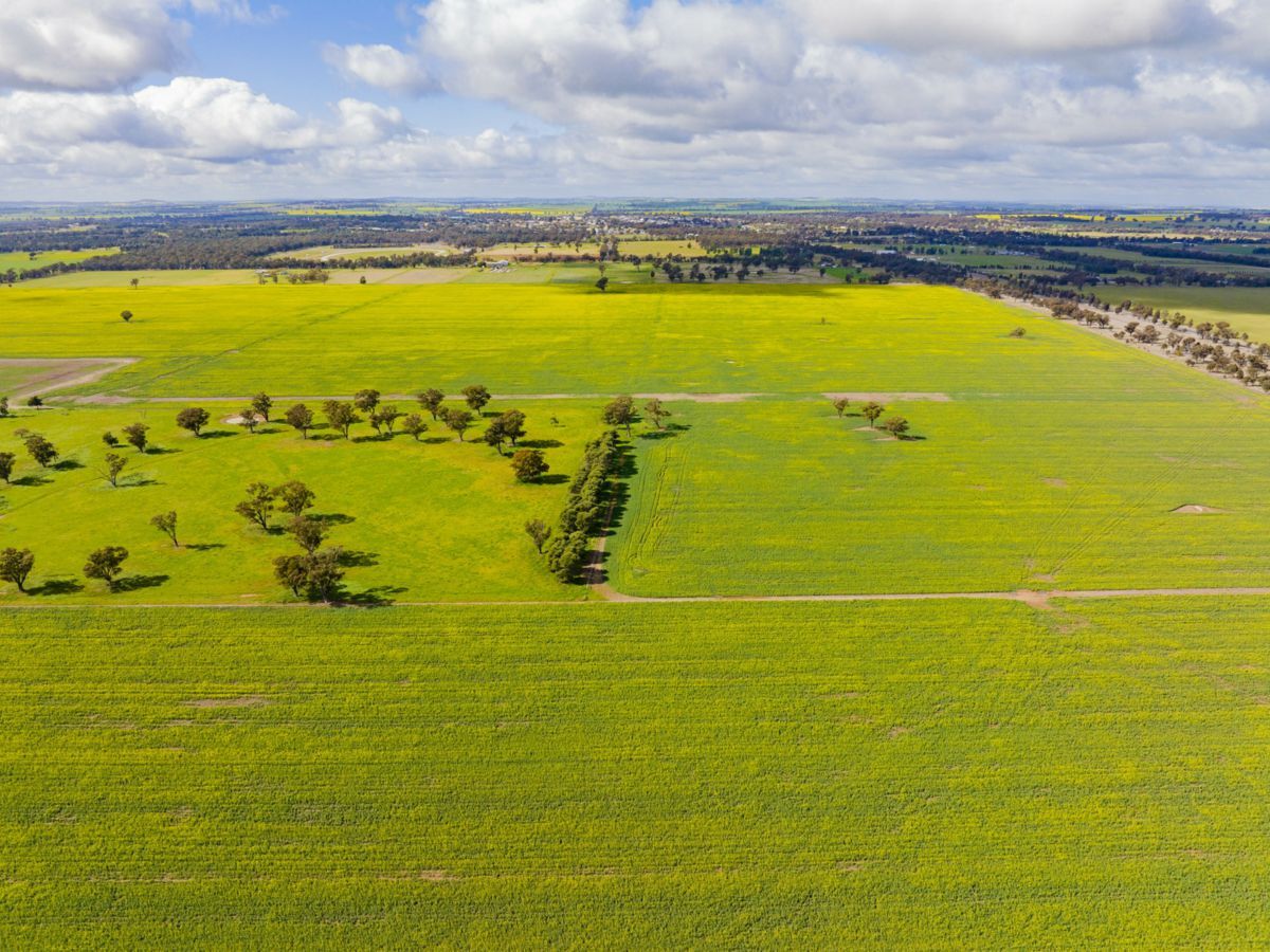 Lonsdale Lane, COOLAMON, Coolamon - Thumbnail 5