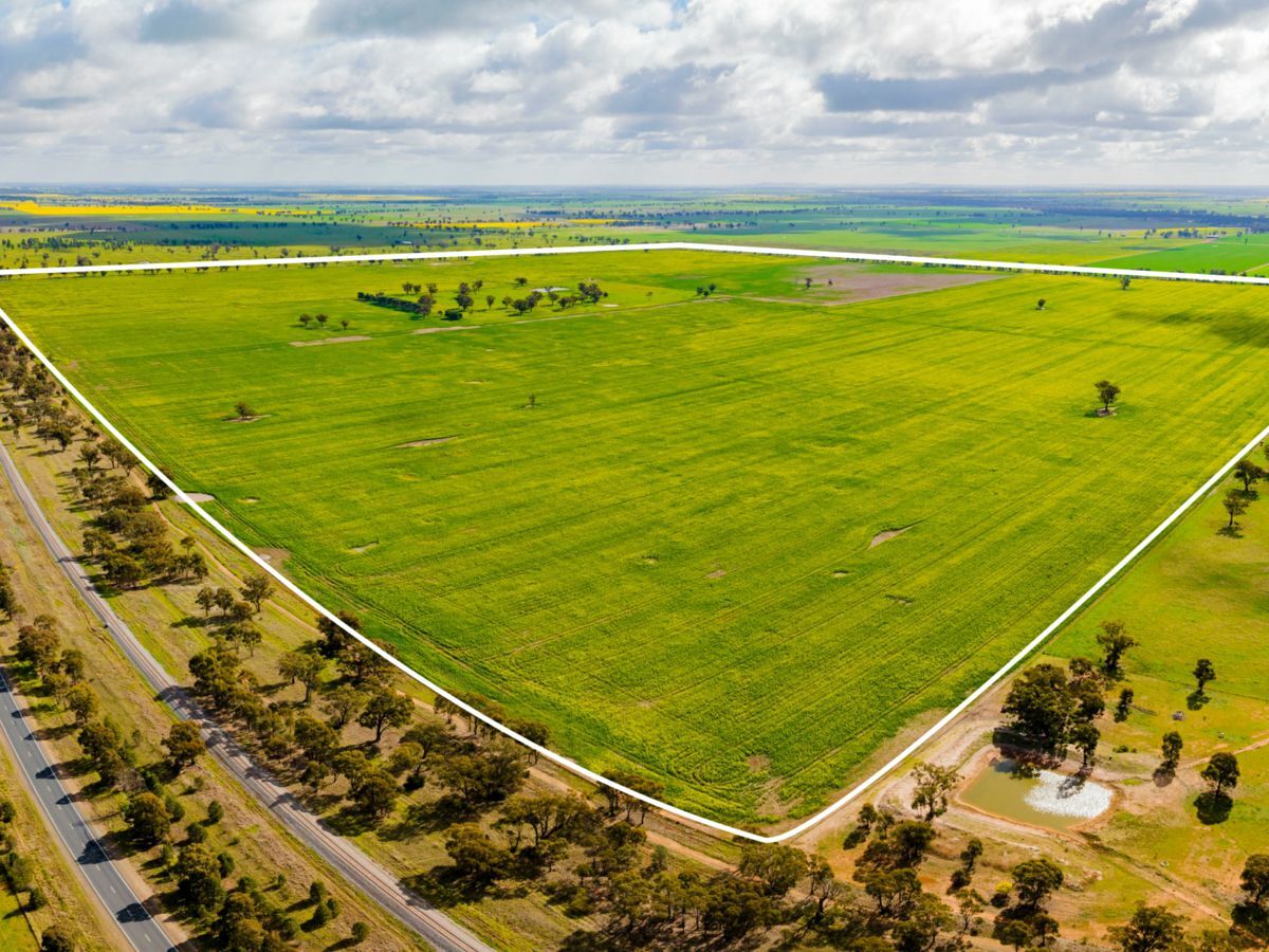 Lonsdale Lane, COOLAMON, Coolamon - Thumbnail 4