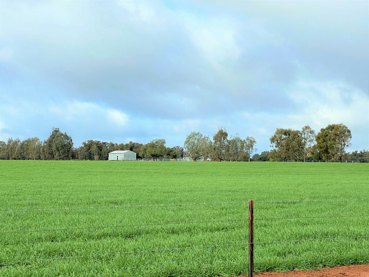 2648 Old Narrandera Road, CURRAWARNA, Currawarna - Thumbnail 6