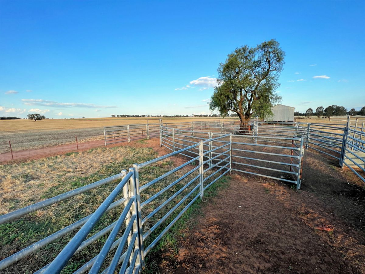 2648 Old Narrandera Road, CURRAWARNA, Currawarna - Thumbnail 8