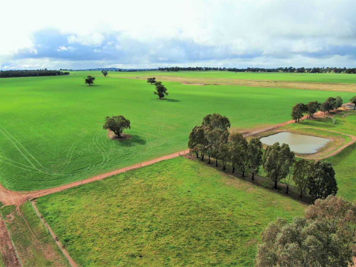 2648 Old Narrandera Road, CURRAWARNA, Currawarna - Thumbnail 5