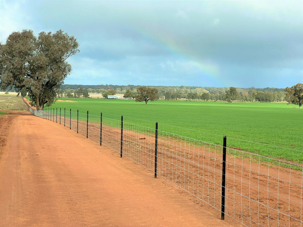 2648 Old Narrandera Road, CURRAWARNA, Currawarna - Thumbnail 4