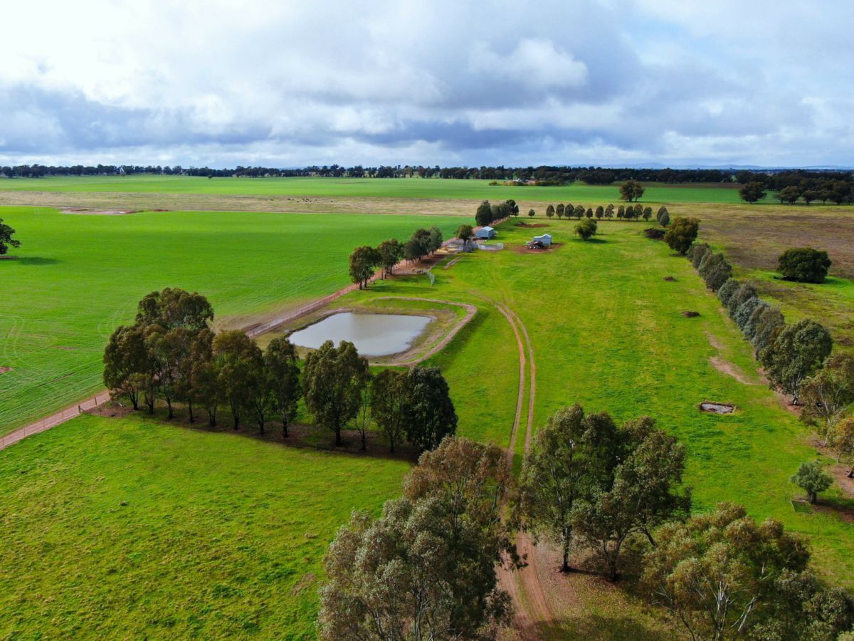 2648 Old Narrandera Road, CURRAWARNA, Currawarna - Thumbnail 7