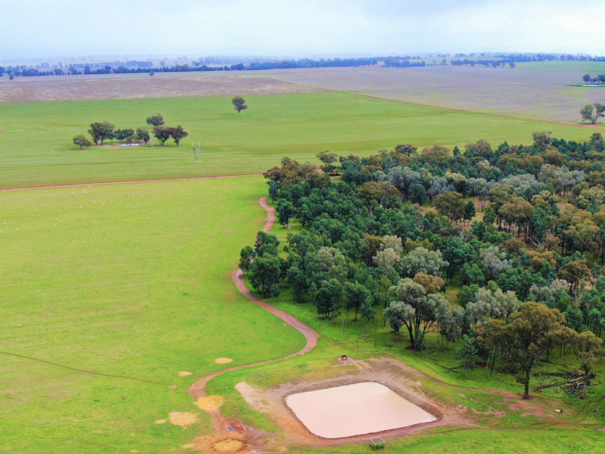 2648 Old Narrandera Road, CURRAWARNA, Currawarna - Thumbnail 3