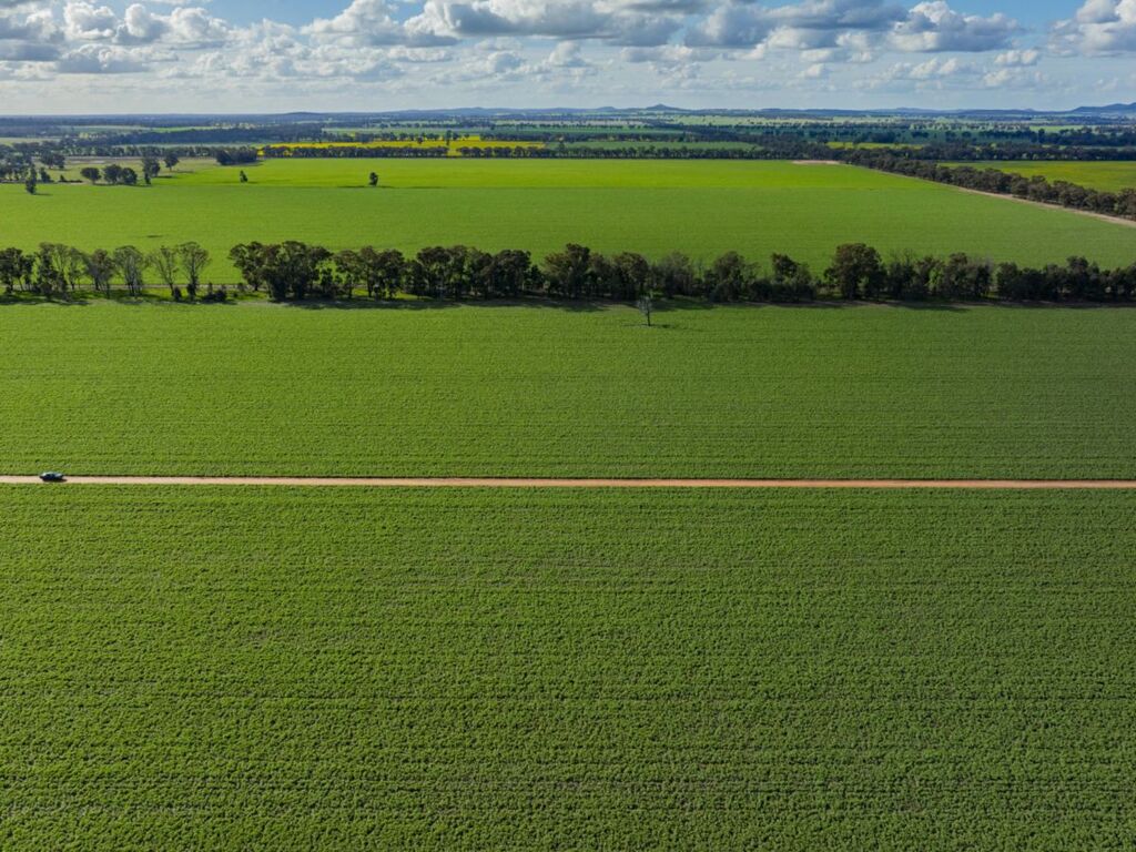 Image of 230 Glynburn Road, TEMORA