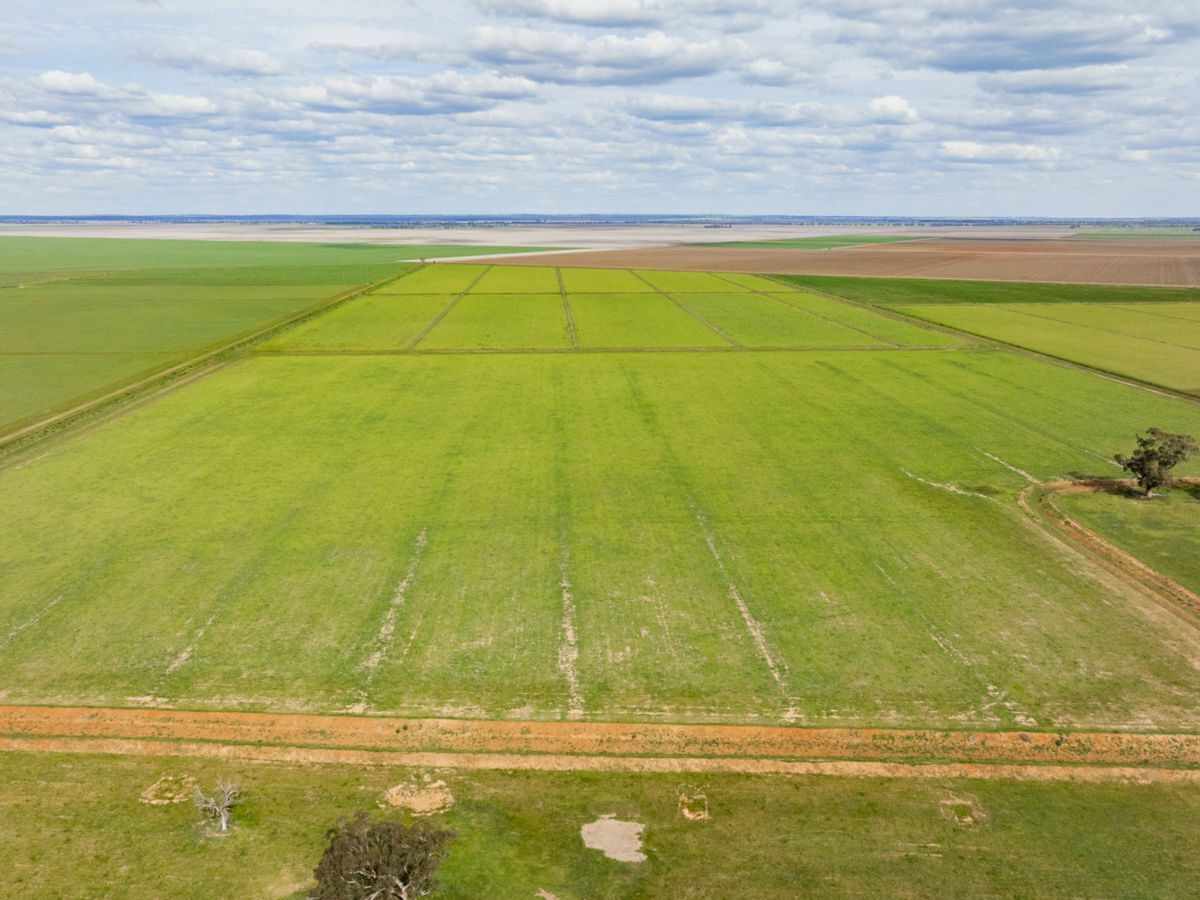 10755 Sturt Highway, NARRANDERA, Euroley - Thumbnail 3