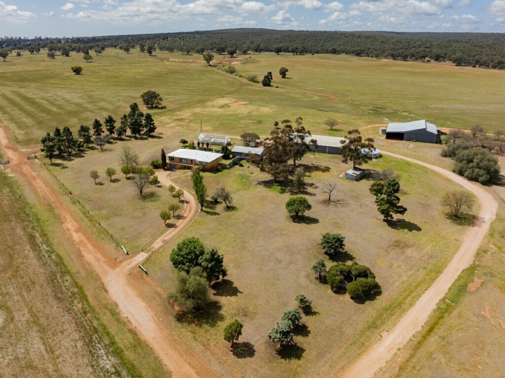 Image of 869 Newell Highway, NARRANDERA