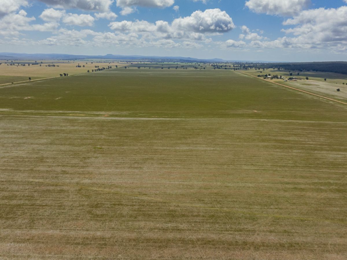 869 Newell Highway, NARRANDERA, Narrandera - Thumbnail 3