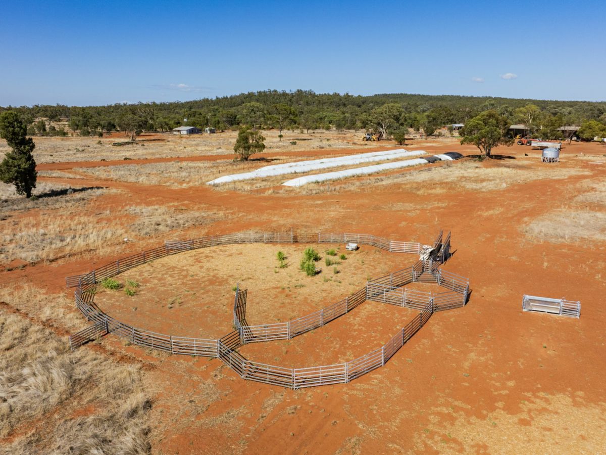 2880 Tallebung Road, CONDOBOLIN, Eremerang - Thumbnail 5