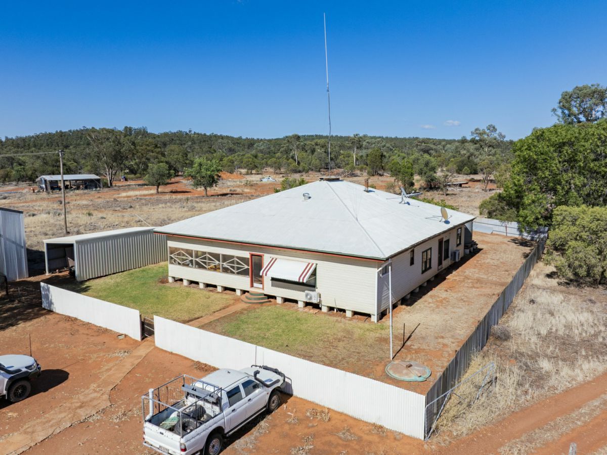 2880 Tallebung Road, CONDOBOLIN, Eremerang - Thumbnail 2