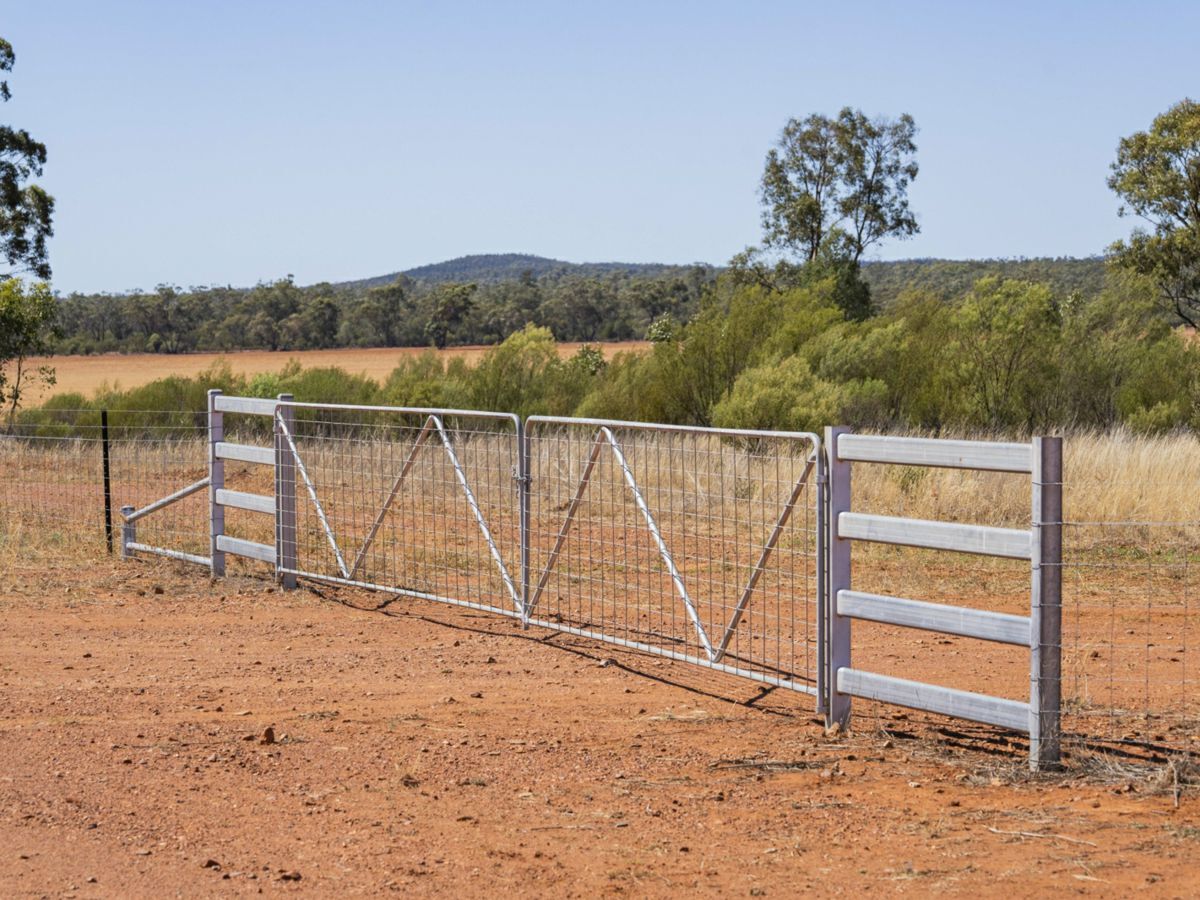 2880 Tallebung Road, CONDOBOLIN, Eremerang - Thumbnail 8