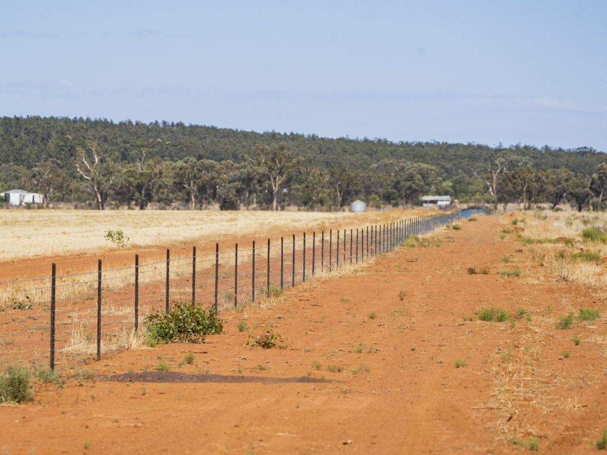 2880 Tallebung Road, CONDOBOLIN, Eremerang - Thumbnail 4