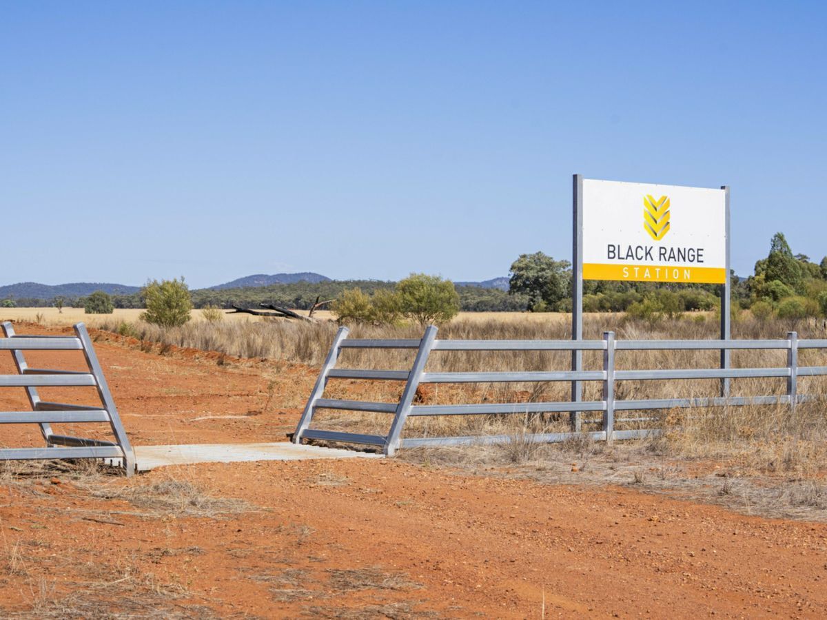 2880 Tallebung Road, CONDOBOLIN, Eremerang - Thumbnail 3