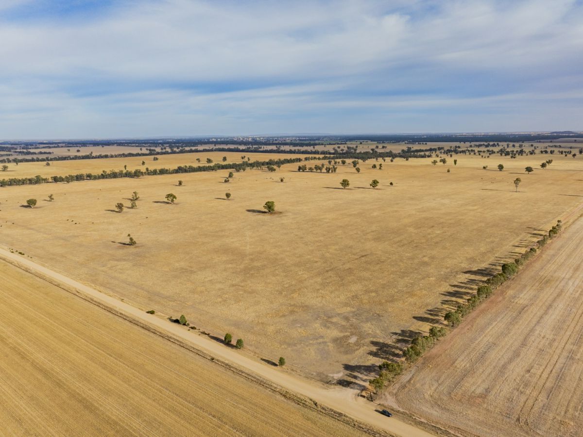 1152 Central Island Road, GALORE, Galore - Thumbnail 7