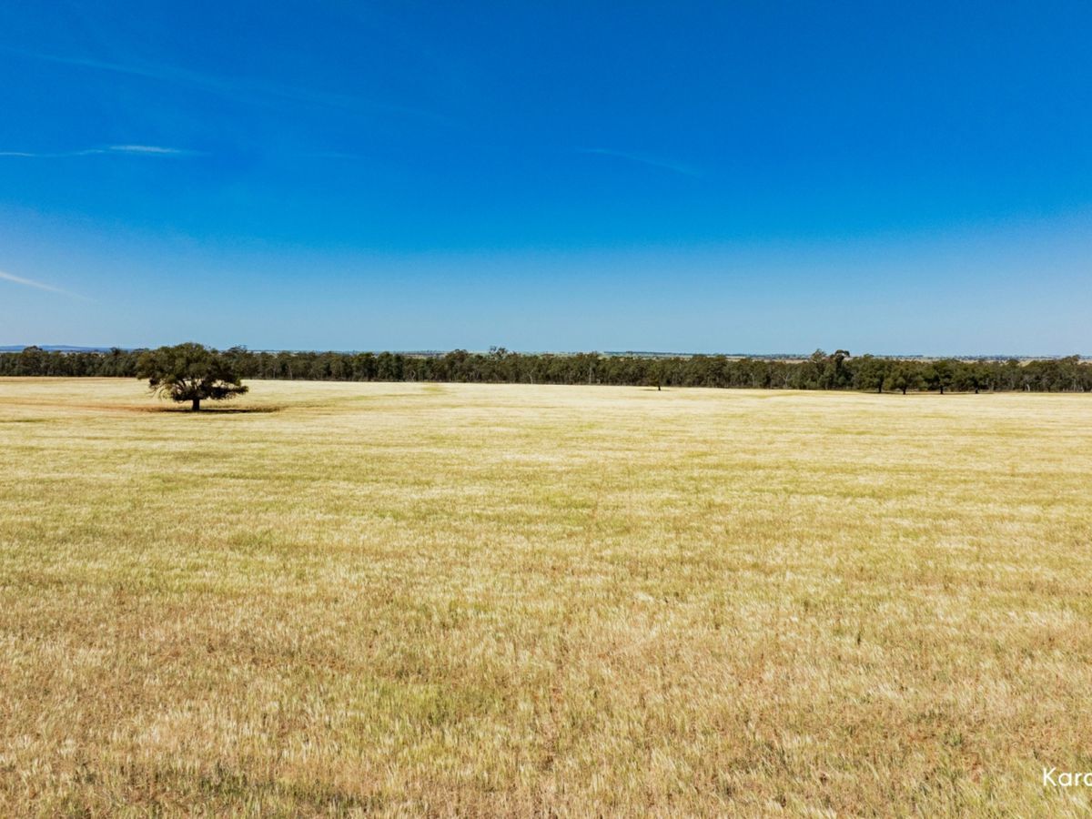 Kamarah Road, NARRANDERA, Narrandera - Thumbnail 7