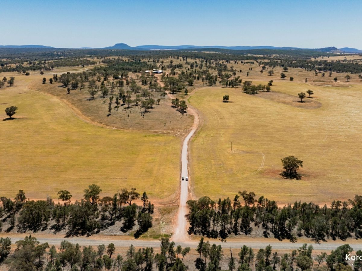 Kamarah Road, NARRANDERA, Narrandera - Thumbnail 5