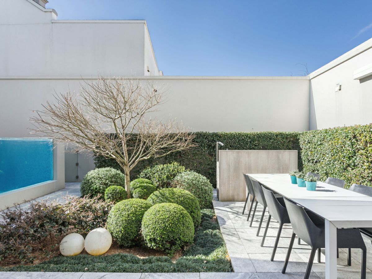 72 Windsor Street, PADDINGTON, Paddington - Thumbnail 4