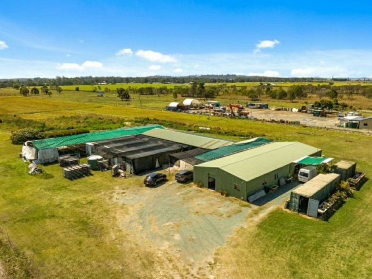 113 Zipfs Road, ALBERTON, Alberton - Thumbnail 3