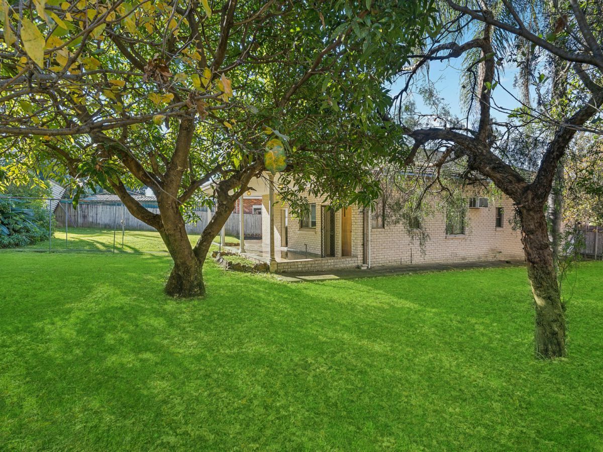 40 Hawthorne Parade, HABERFIELD, Haberfield - Thumbnail 7