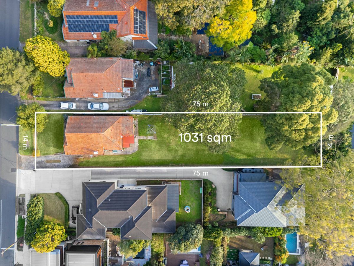 house for sale in 33 Osborne Road, LANE COVE mcg22p1209134 Knight Frank