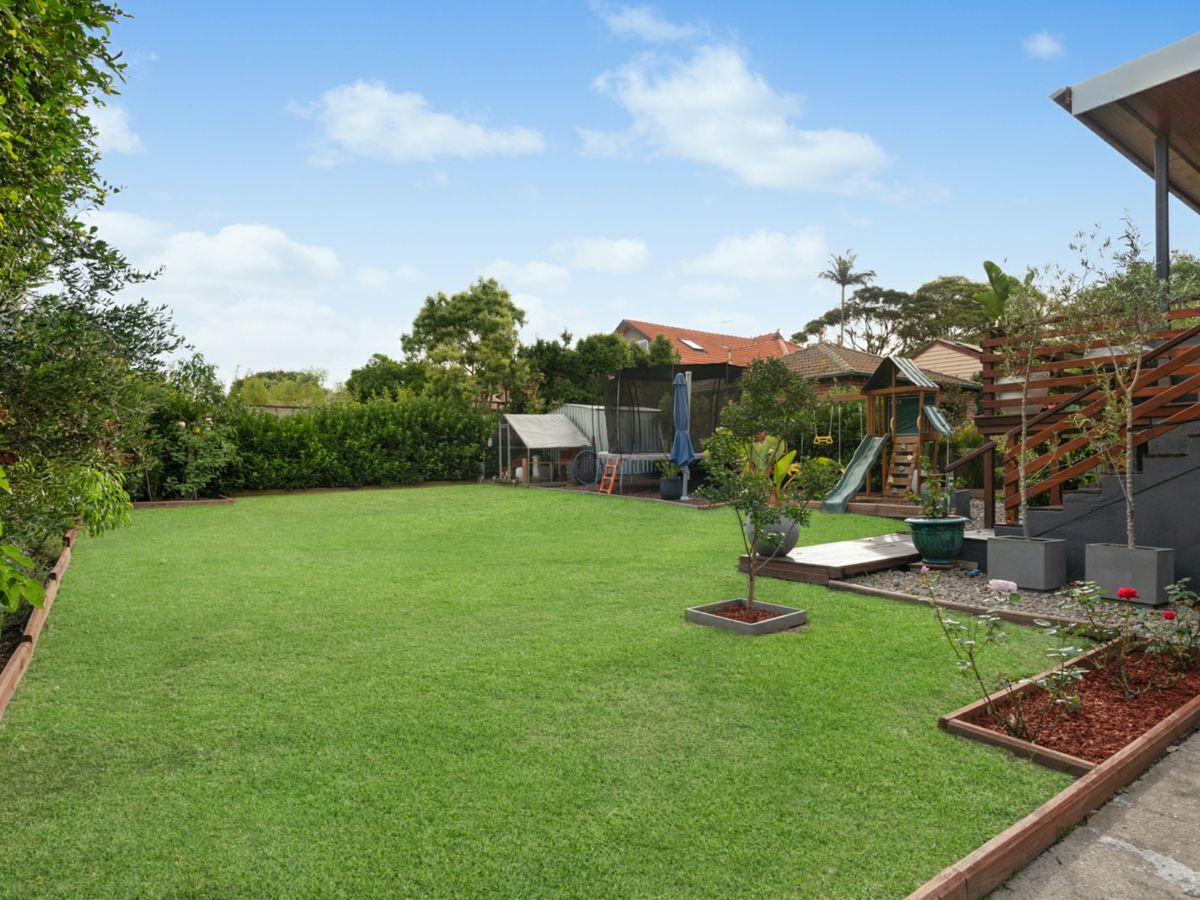 24 Barton Avenue, HABERFIELD, Haberfield - Thumbnail 5
