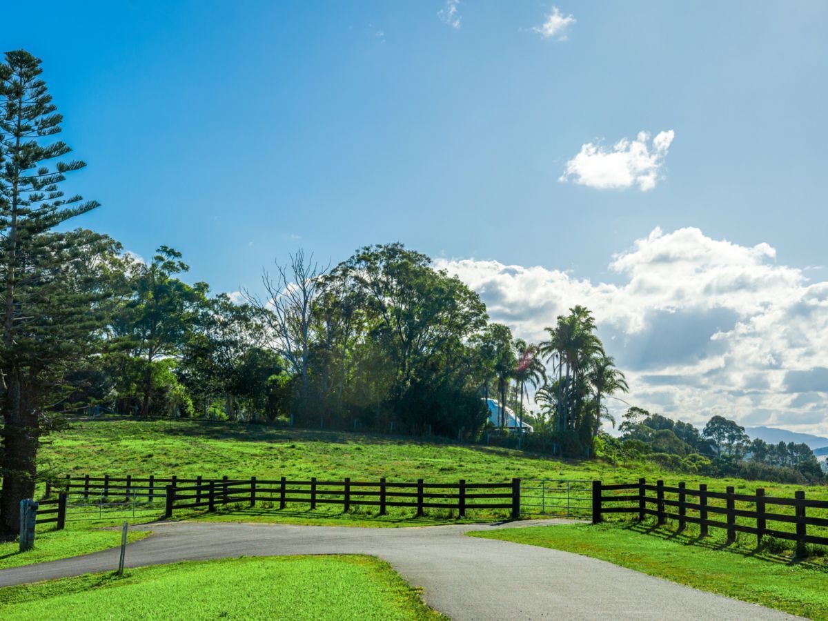 Land for sale in 388 Coopers Shoot Road, COOPERS SHOOT MCG96P15115