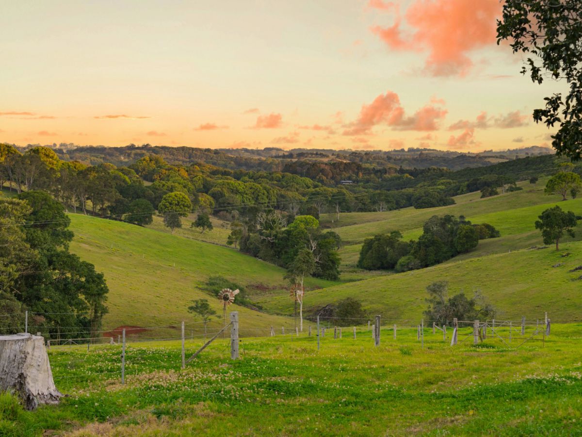 457 Coolamon Scenic Drive, COORABELL, Coorabell - Thumbnail 8