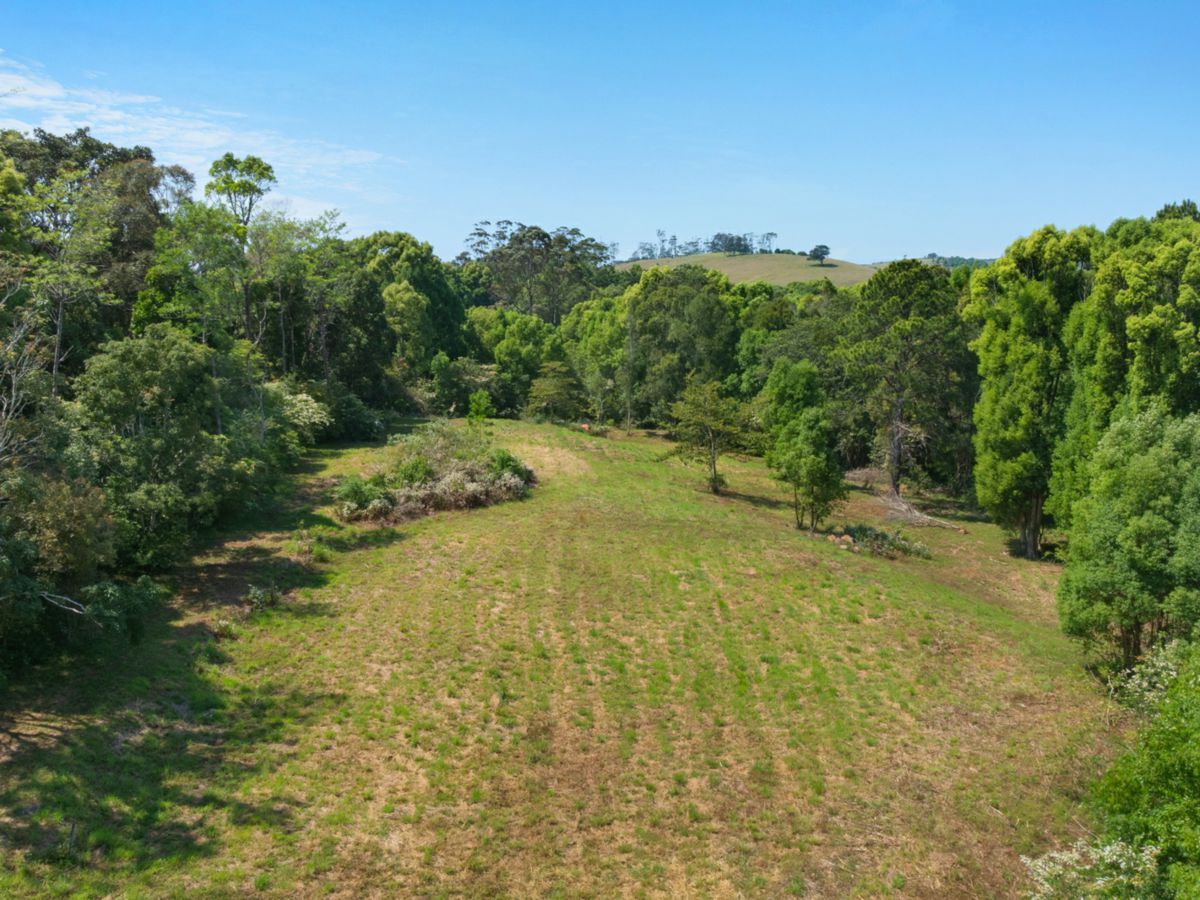 68 Rankin Drive, BANGALOW, Bangalow - Thumbnail 8