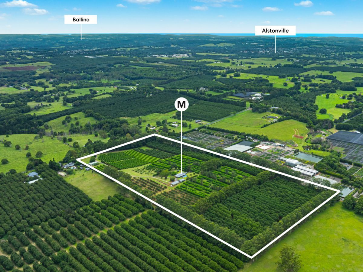 657 Ellis Road, ROUS, Rous - Thumbnail 2
