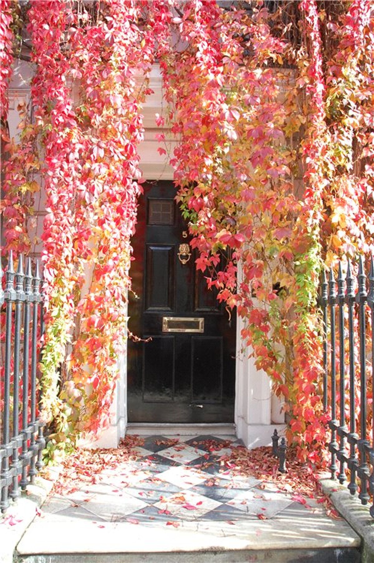 house for sale in Wimpole Street, Marylebone, London, W1G MRY150055