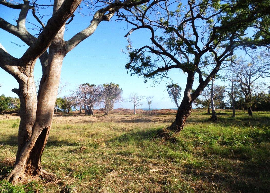 Land for sale in Shanzu Beach, Off MombasaMalindi Road NAI150078