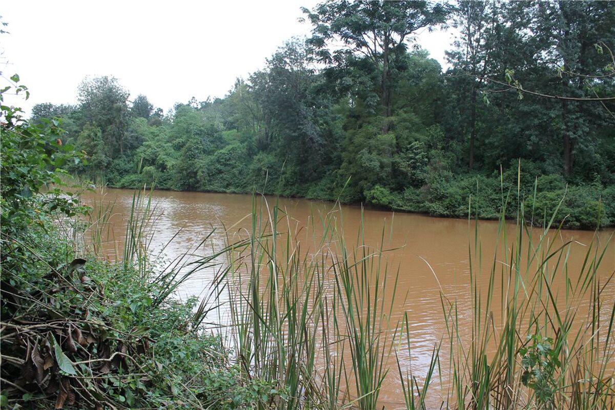 Land for sale in Lower Kabete, Lower Kabete Road, Nairobi NAI160052 Knight Frank