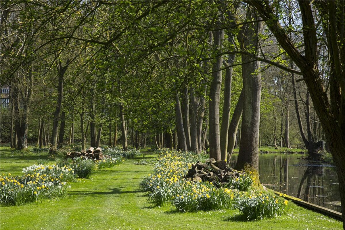 house for sale in The Street, North Stoke, Wallingford, OX10