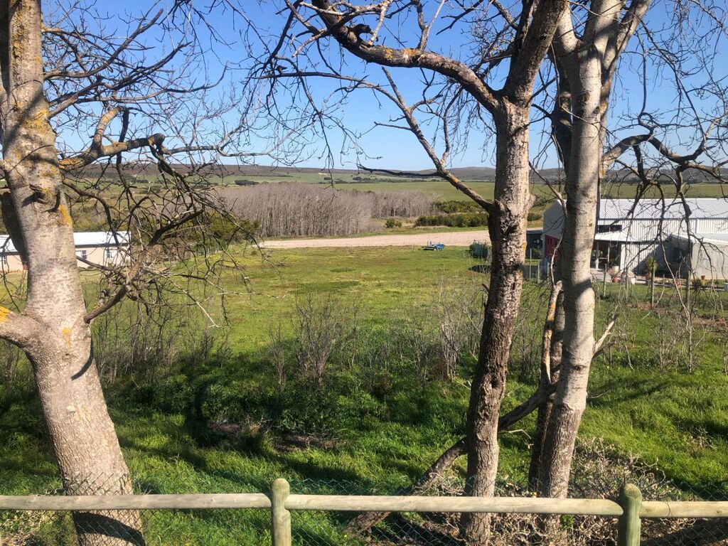 Image of Baardskeerdersbos, Baardskeerdersbos