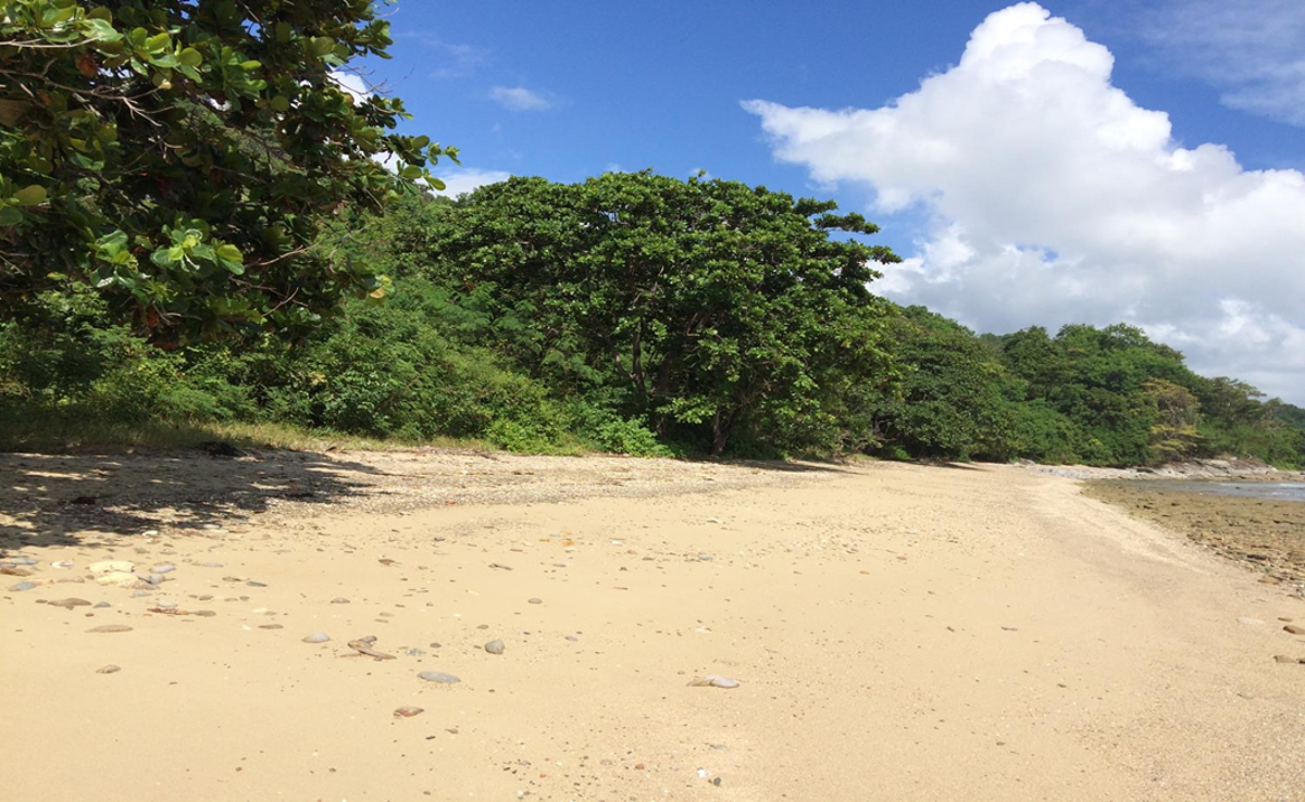 Land for sale in Binduyan Puerto Princesa City, Palawan, Brgy. Binduyan