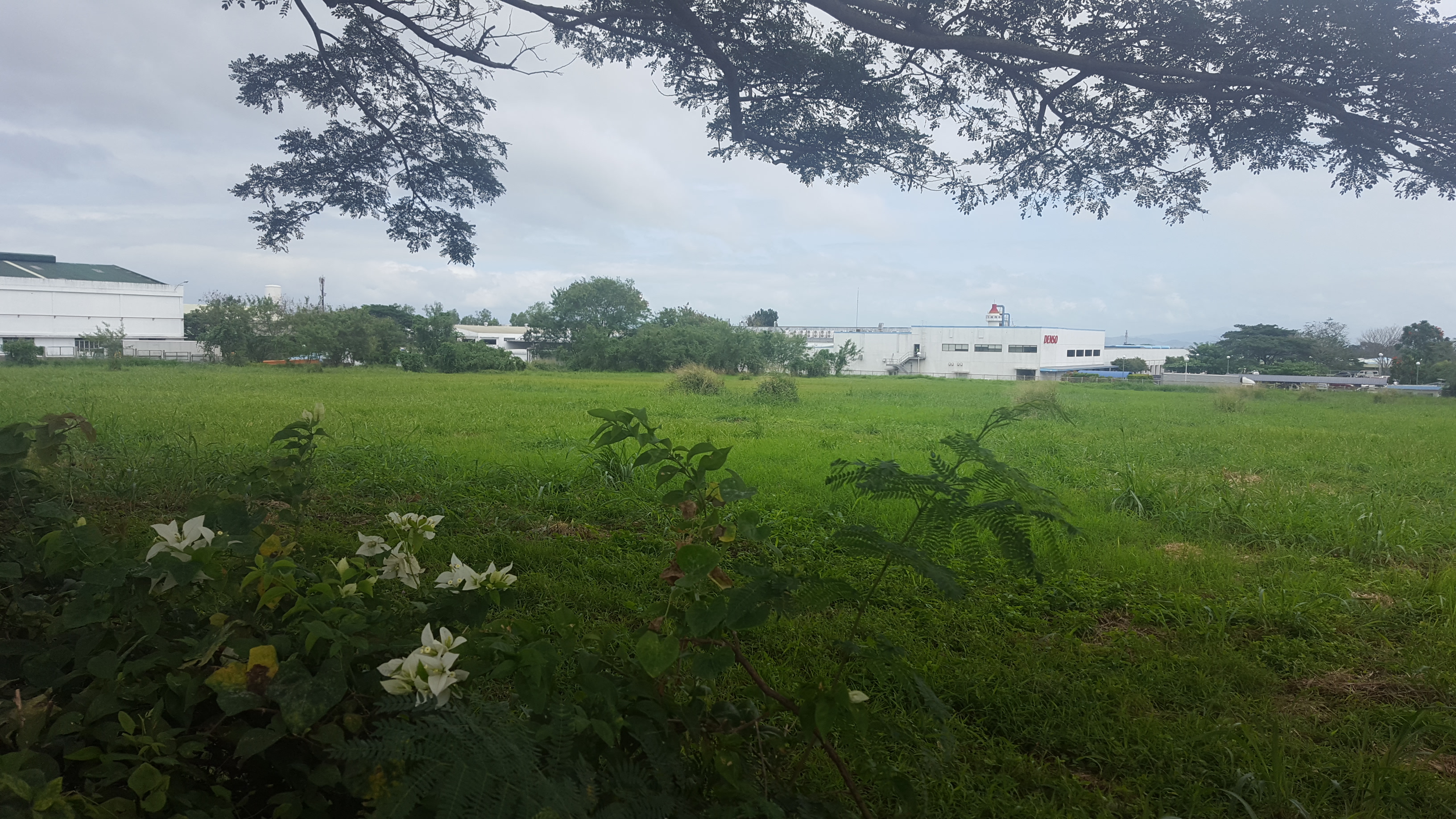 Industrial to rent in Carmelray Industrial Park I, Canlubang Laguna