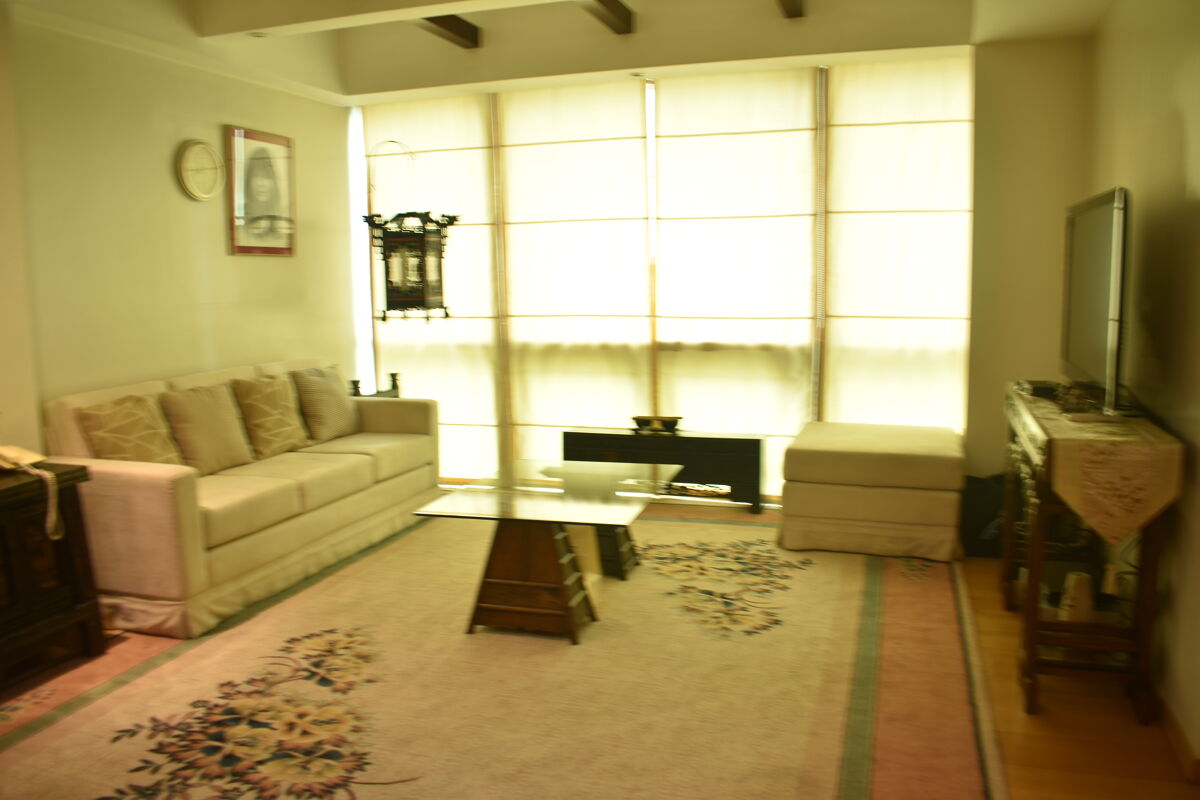 condominium to rent in Bonifacio Ridge , Bonifacio Ridge, 1st Avenue