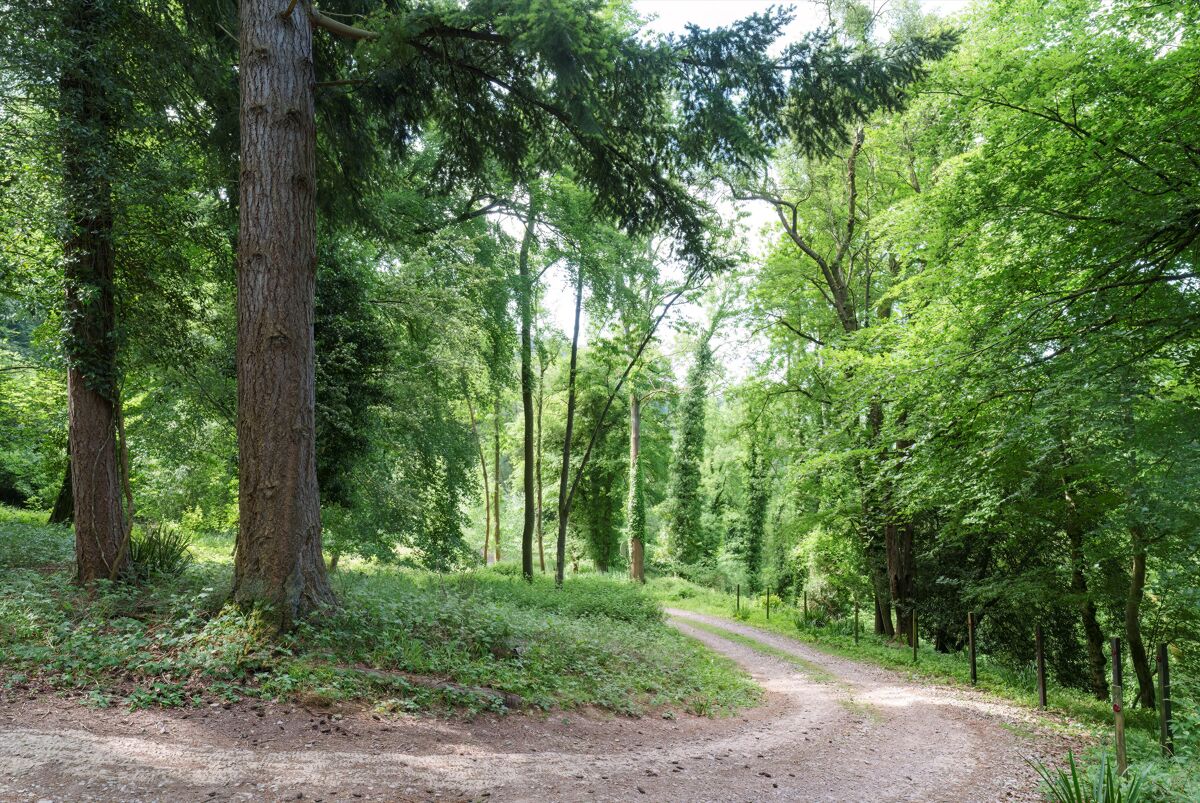 house for sale in Symonds Yat East, RossonWye, Herefordshire, HR9 POD012149843 Knight Frank