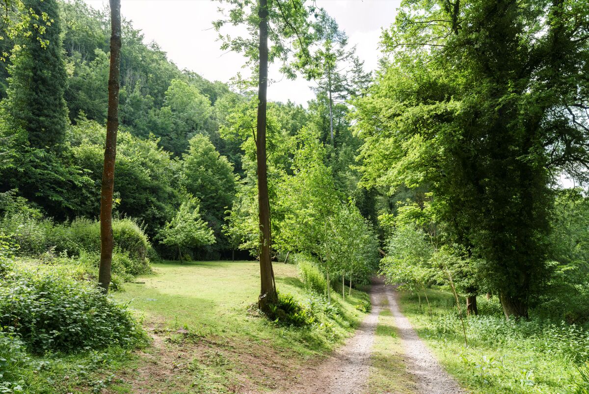 house for sale in Symonds Yat East, RossonWye, Herefordshire, HR9