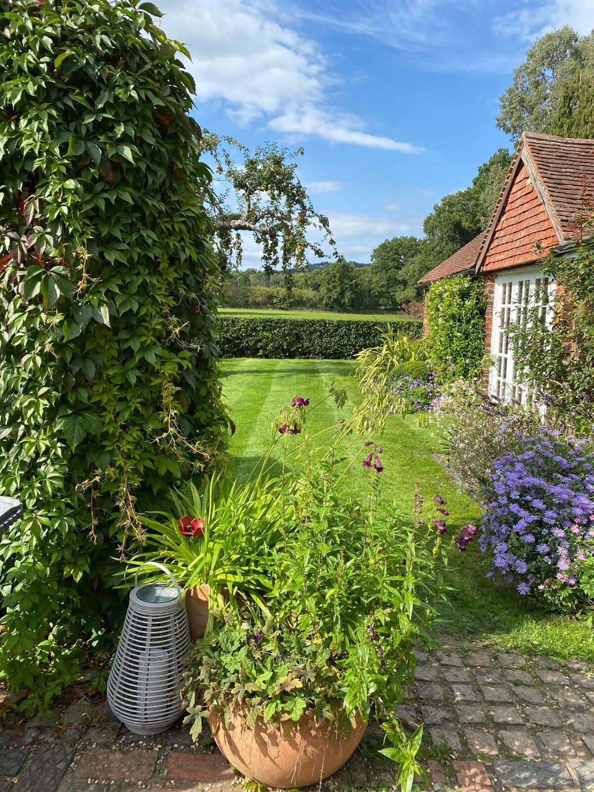 house for sale in Elm Tree House, The Green, Dunsfold, Godalming