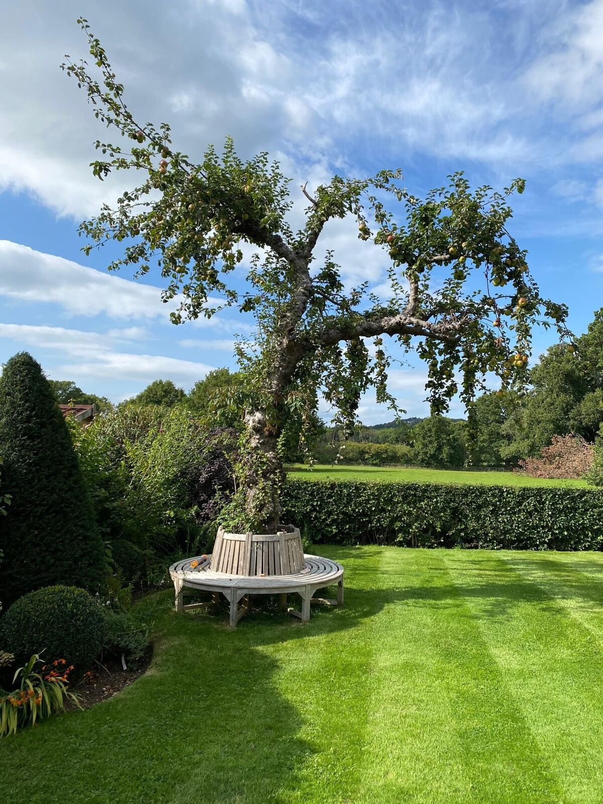 house for sale in Elm Tree House, The Green, Dunsfold, Godalming