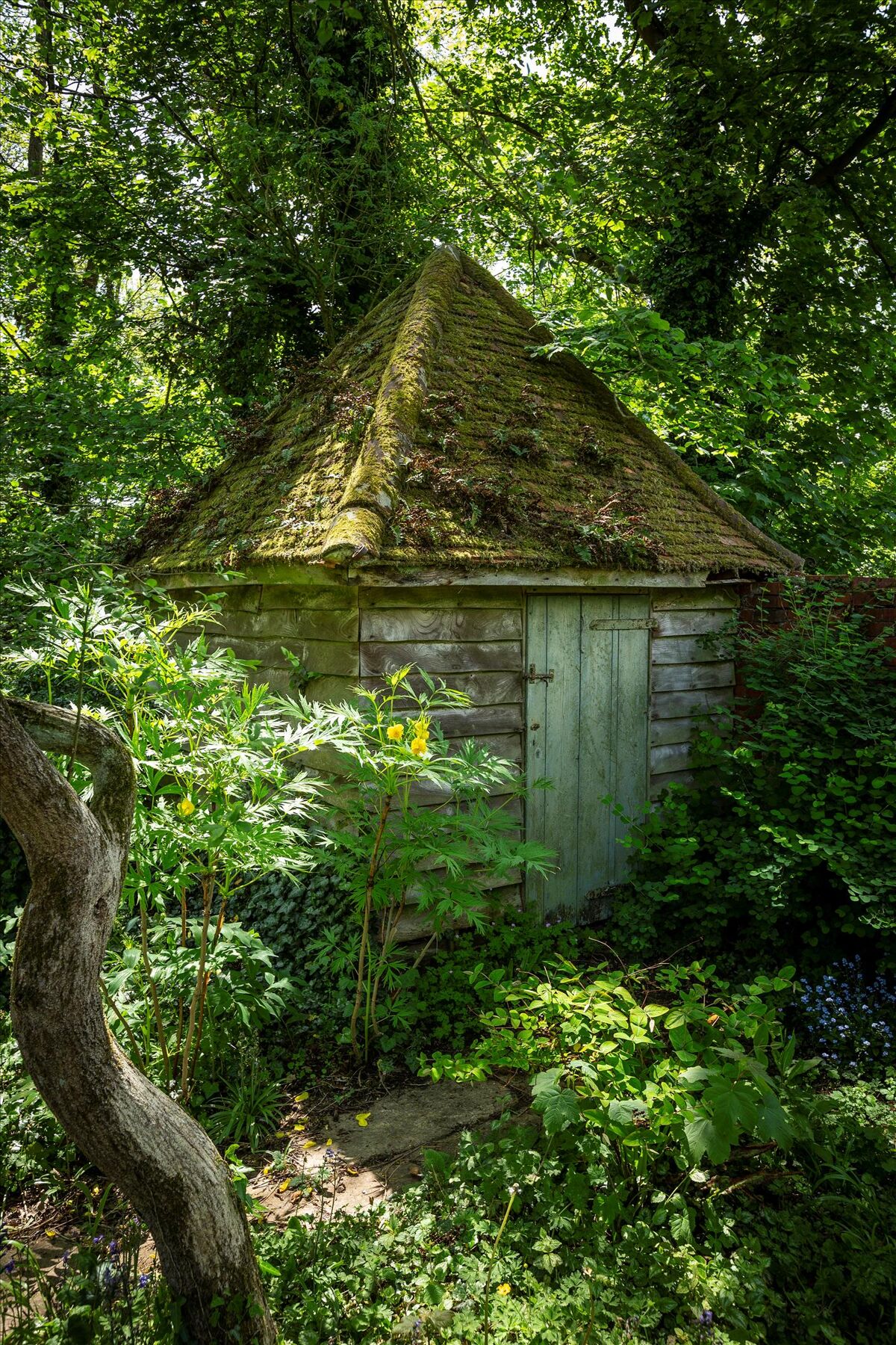 house for sale in Millmead, Snowdenham Lane, Bramley, Guildford, Surrey