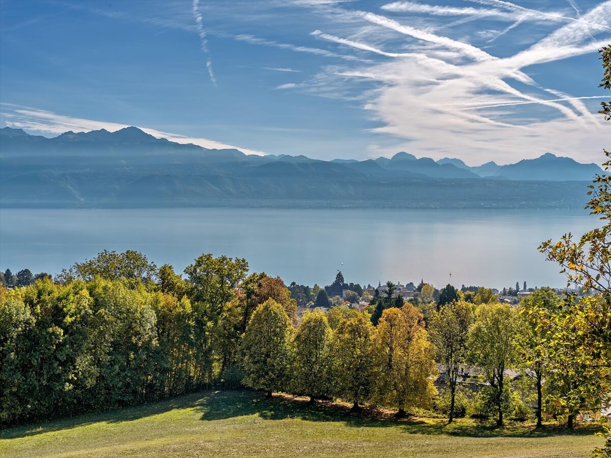 chateau for sale in Lausanne, Vaud RSI012267633 Knight Frank