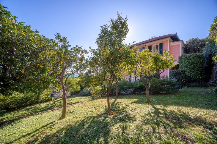 Picture of Santa Margherita Ligure, Liguria