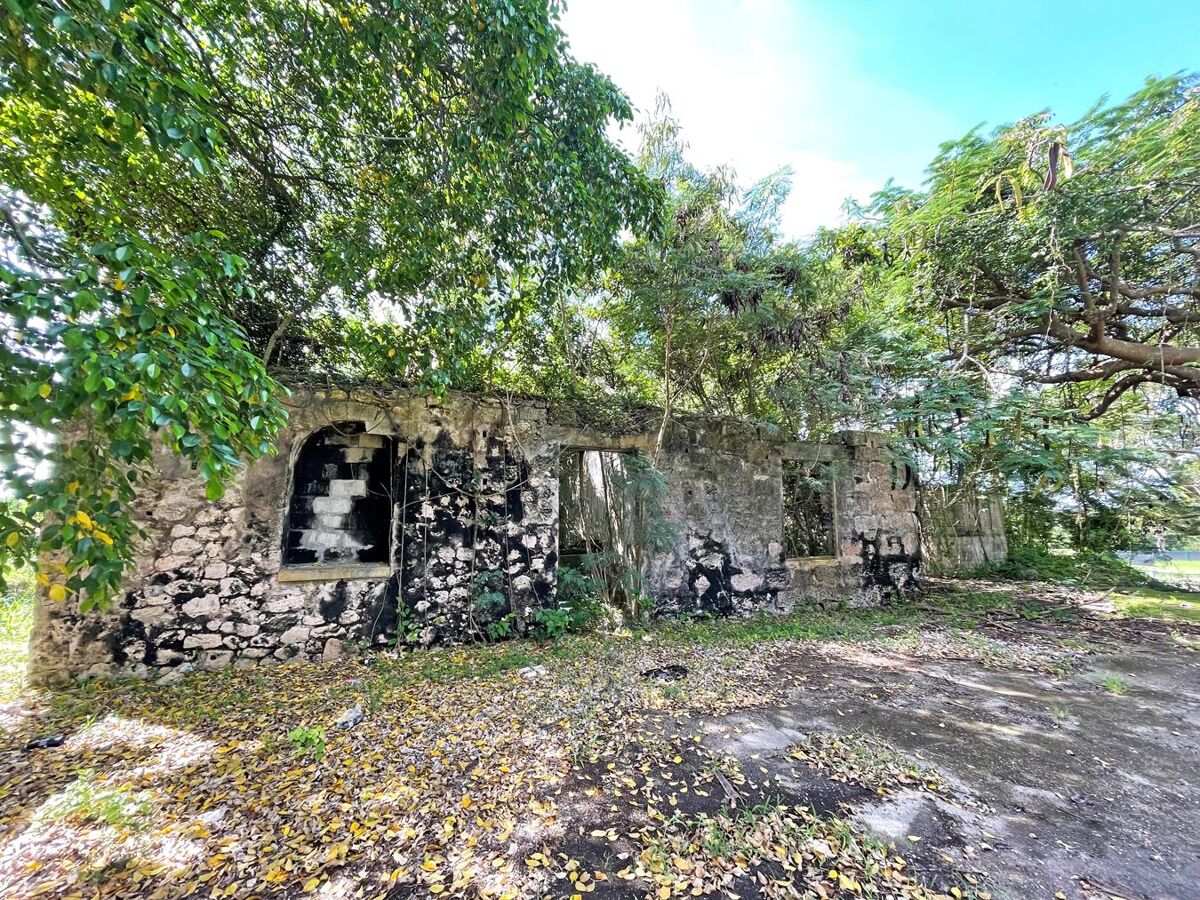 Estate for sale in Westmoreland, St James RSI012324652 Knight Frank