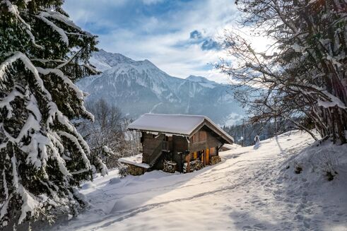 Picture of 3 bedroom chalet for sale.