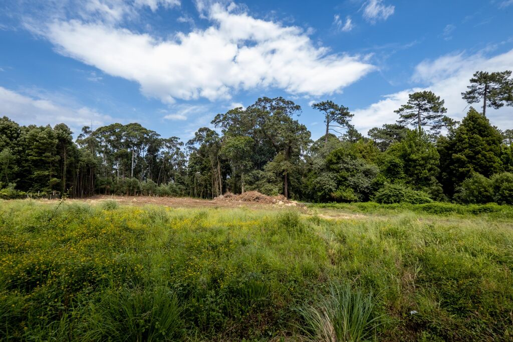 Image of Vila Nova de Gaia, Porto
